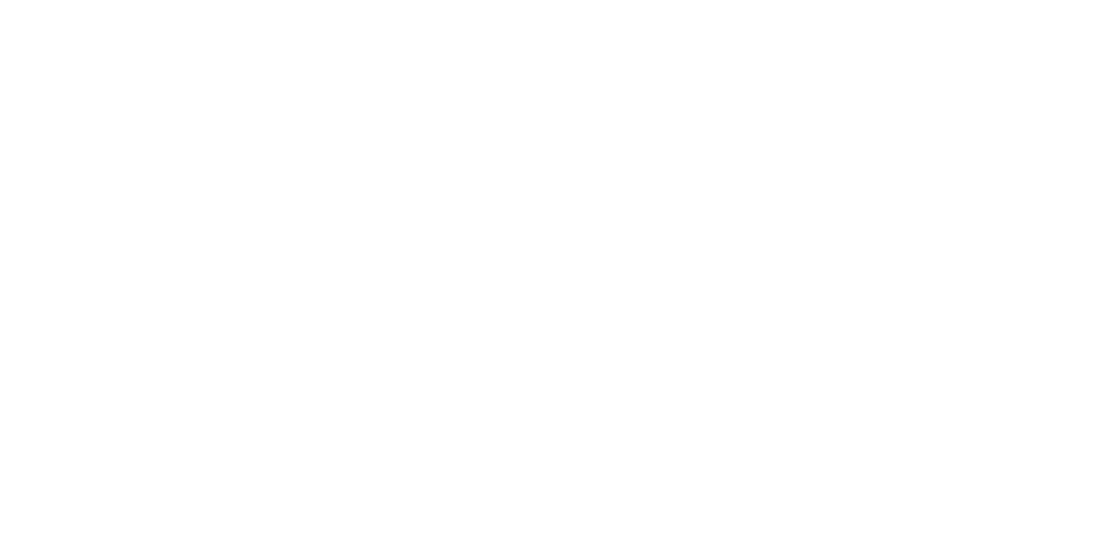 Practical Solution Ltd.