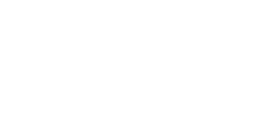 Practical Solution Ltd.